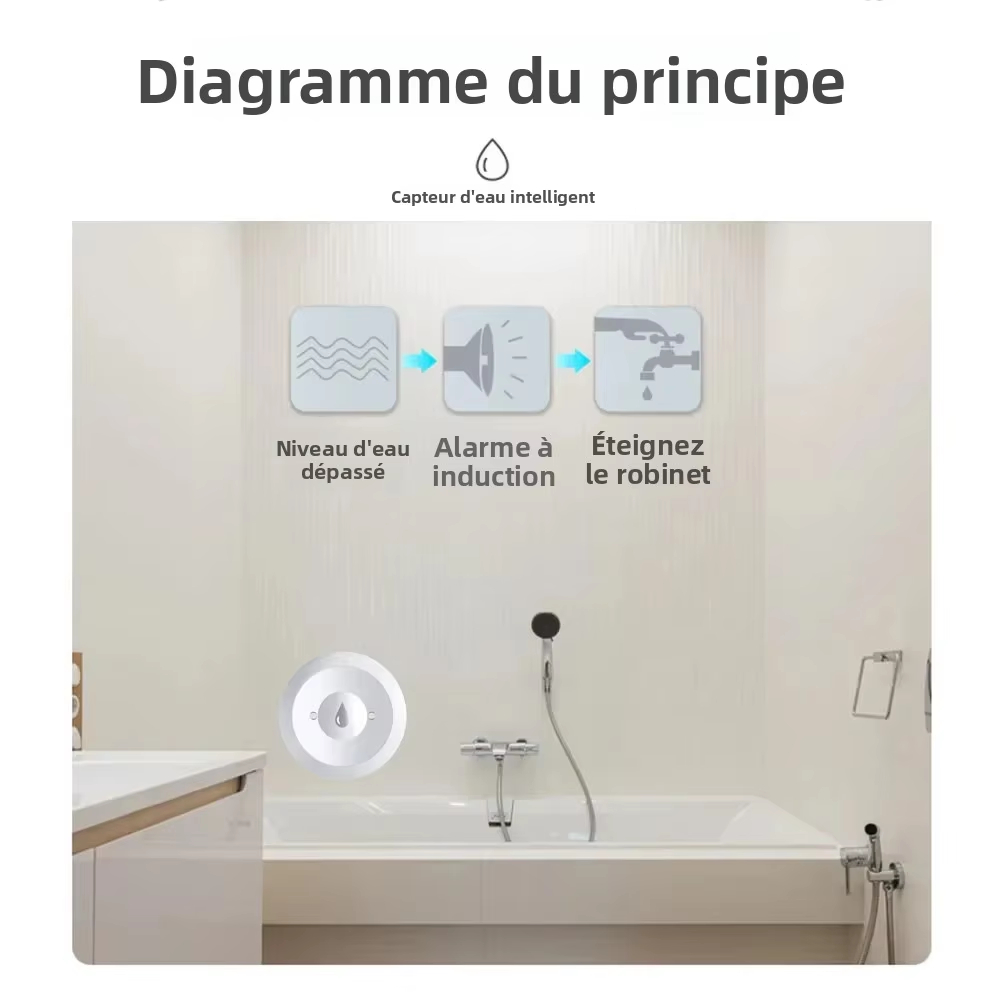 Fonctionne avec l'application  - Water Alarm Sensor avis et prix